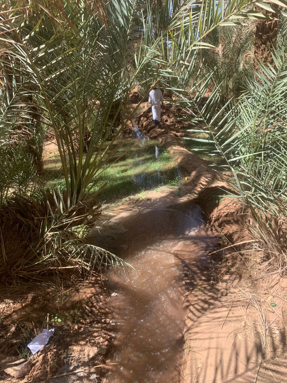 Agriculture